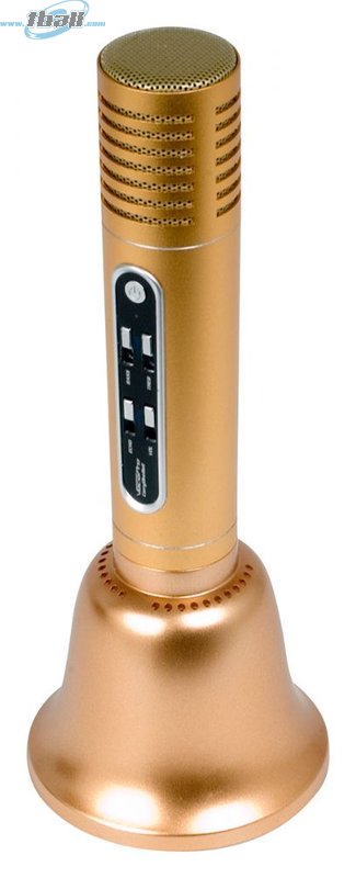 CARRY-DUET Duet Microphone for Carry-Oke System