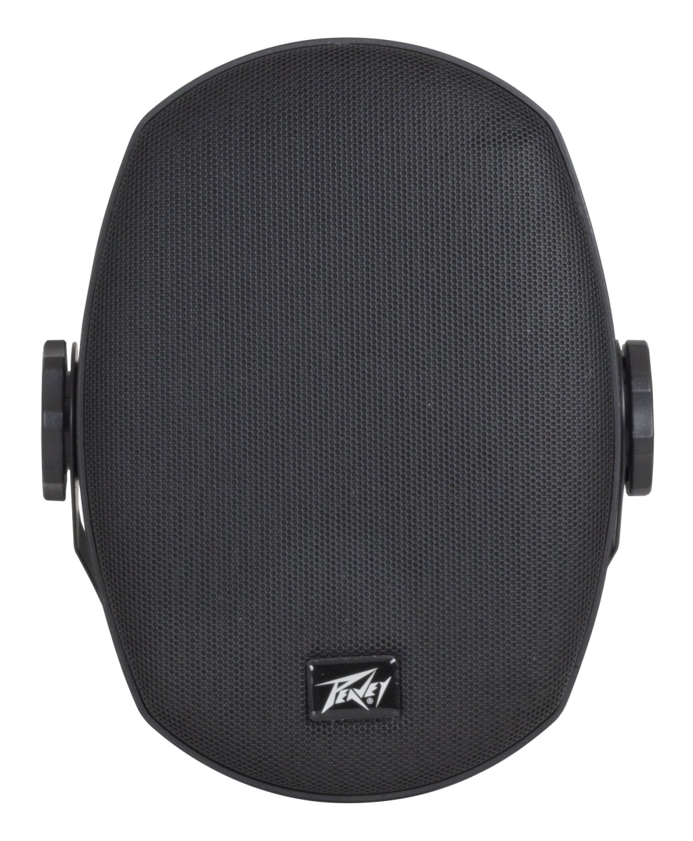 PEAVEY ELECTRONICS