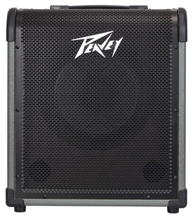 100 watt Ultra-Compact Bass Amplifier