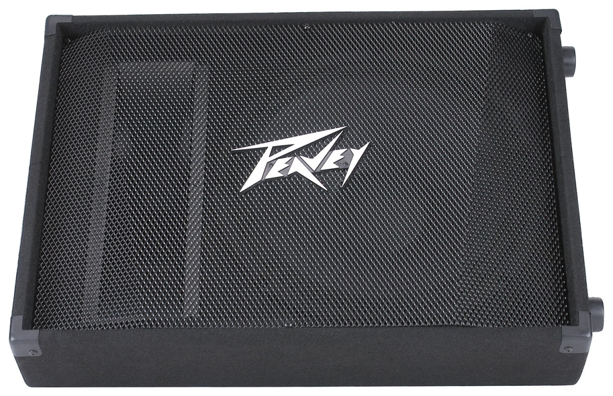 15 in. Passive Floor Monitor Speaker