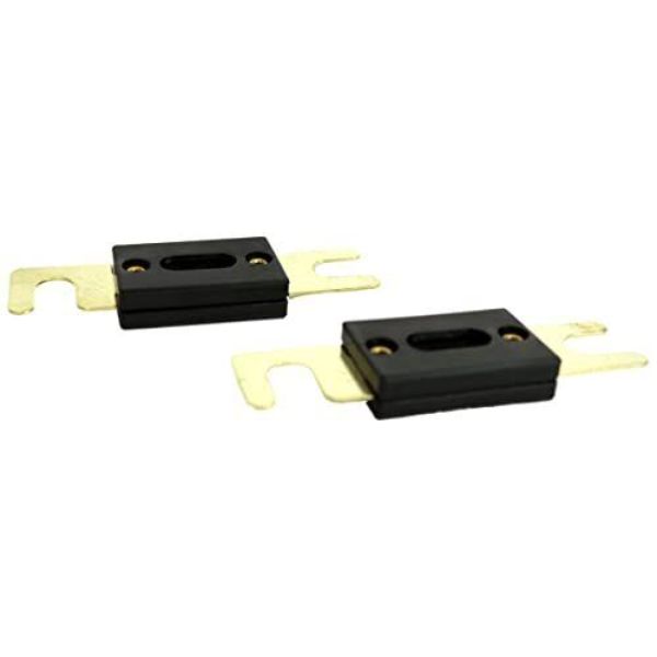 Two 300-Amp ANL style heavy duty fuses