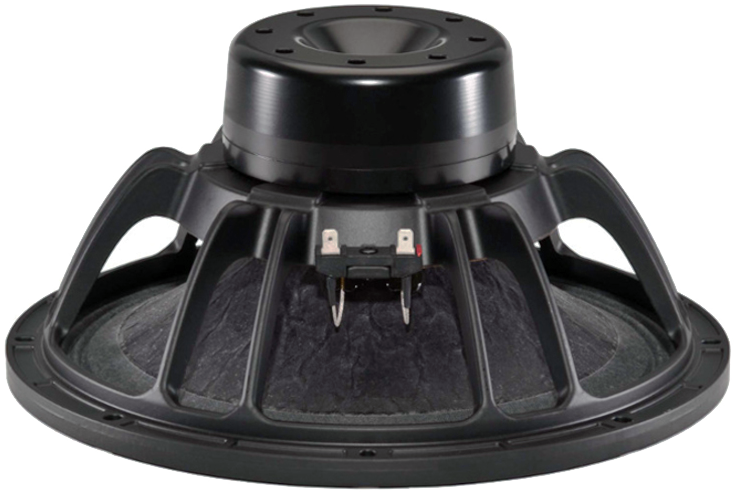 12 in. Neo Woofer