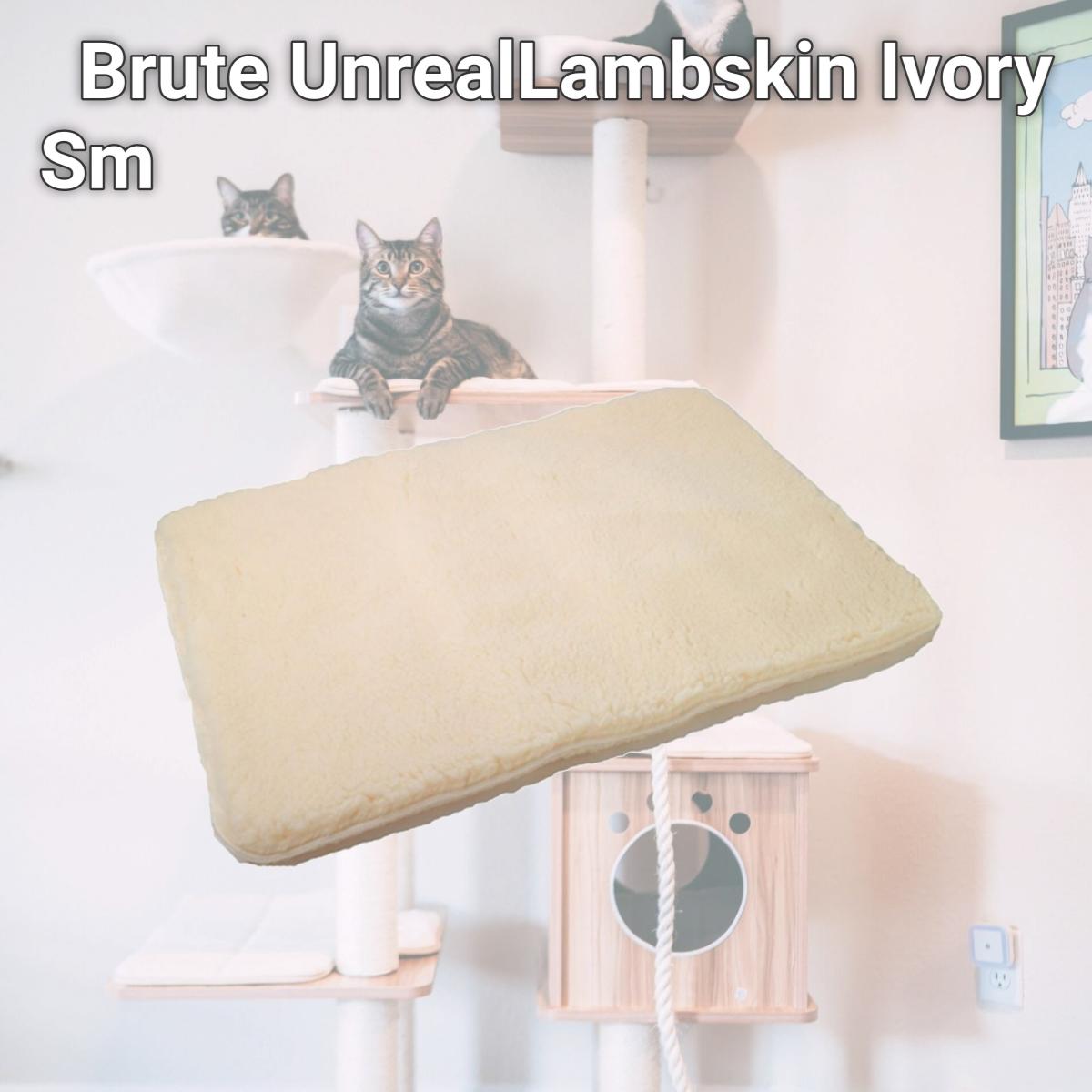 Picture of Alphapooch BB-1824-9-UL Brute UnrealLambskin Ivory Sm