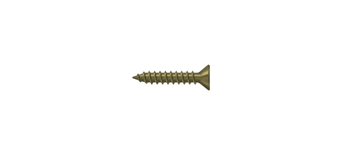 SCWS910U5.BG 1 in. No.9 Wood Screw, Plain Brass