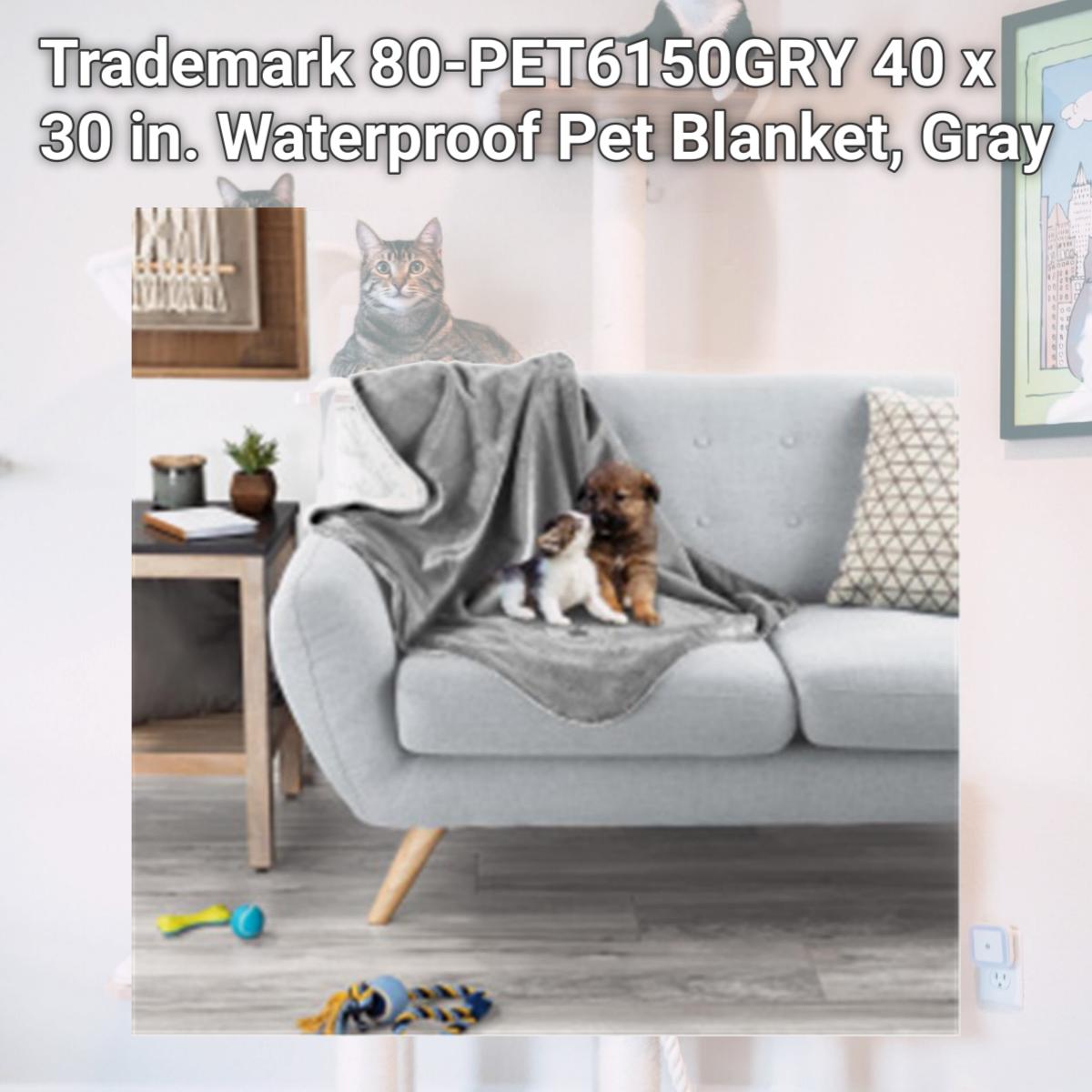 Picture of Trademark 80-PET6150GRY 40 x 30 in. Waterproof Pet Blanket, Gray