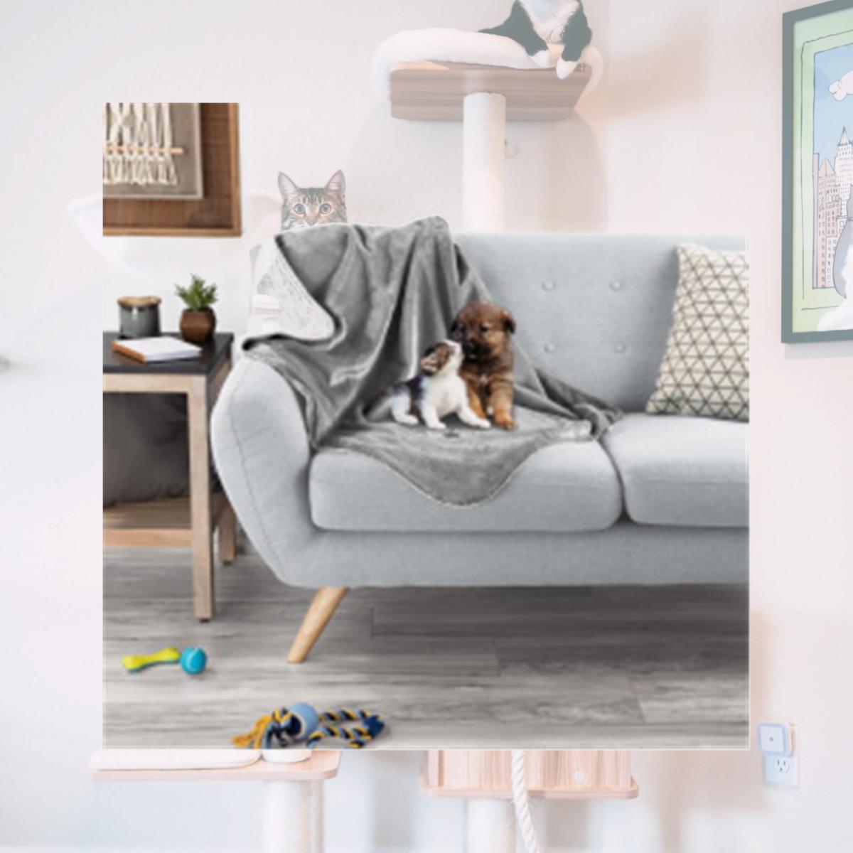 Picture of Trademark 80-PET6150GRY 40 x 30 in. Waterproof Pet Blanket, Gray