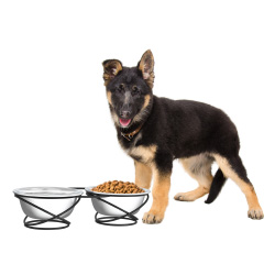 Picture of Trademark 80-PET6168 Stainless Steel Raised Food & Water Bowls with Decorative 3.5 in. Tall Stand