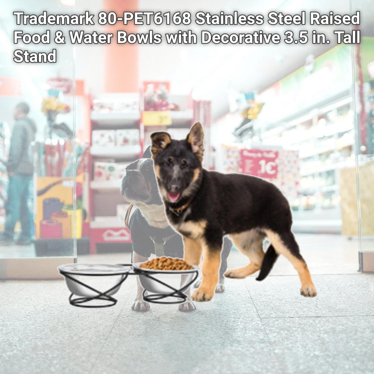 Picture of Trademark 80-PET6168 Stainless Steel Raised Food & Water Bowls with Decorative 3.5 in. Tall Stand
