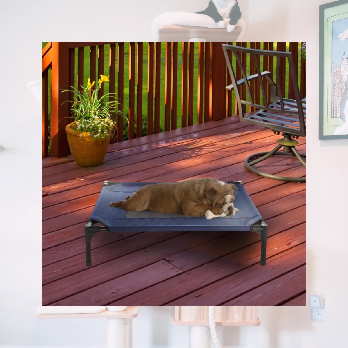 Picture of Petmaker 80-PET6084 Portable Raised Cot-Style Elevated Pet Bed, Blue