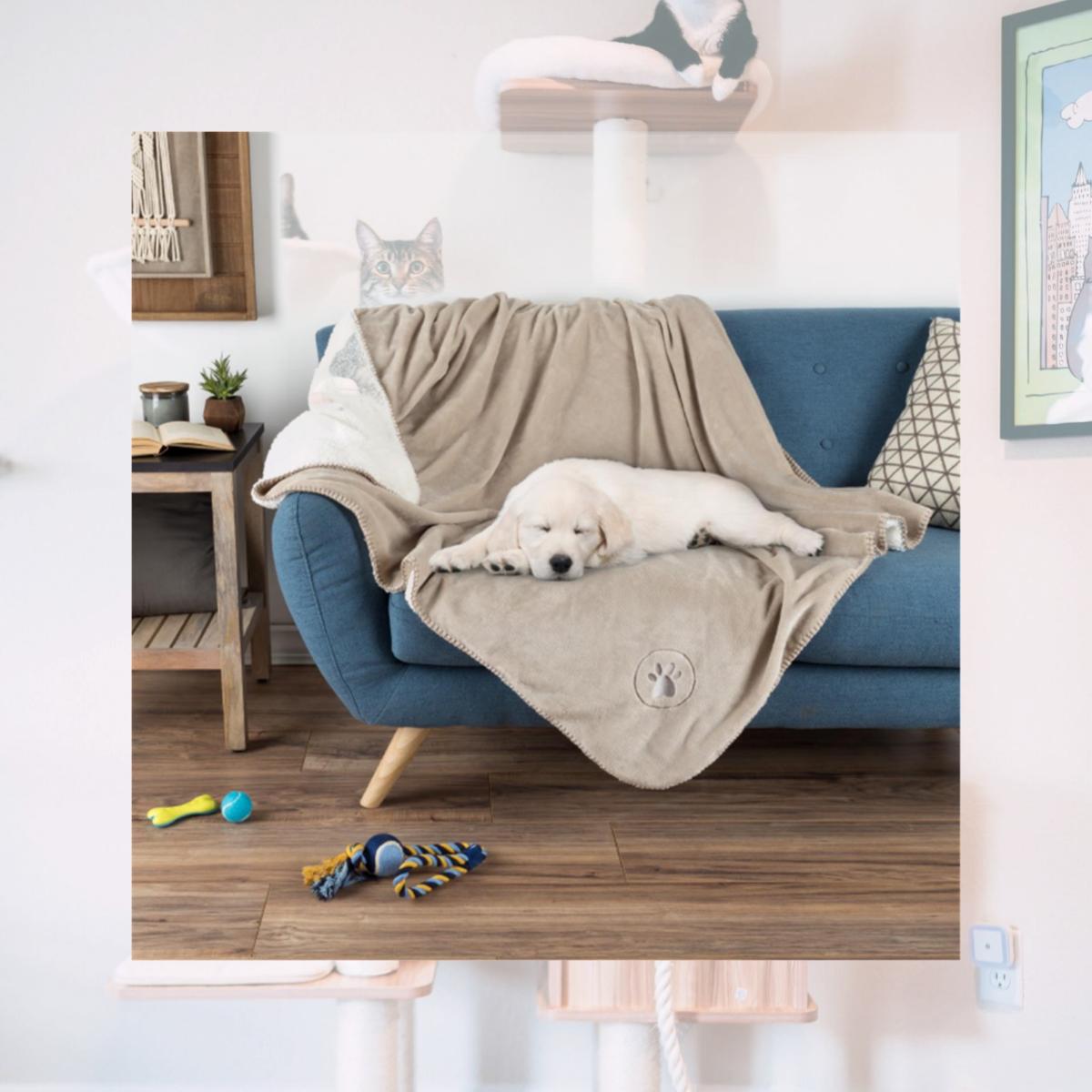 Picture of Petmaker 80-PET6076 Waterproof Pet Blanket with Soft Plush Throw Protects Couch & Chair&#44; Tan