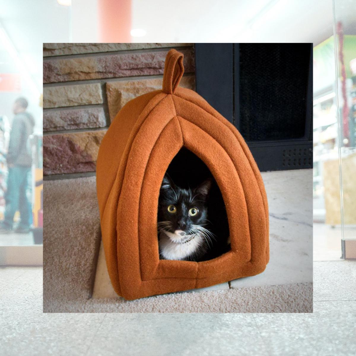 Picture of Petmaker 80-TB8801-TAN Cozy Kitty Tent Igloo Plush Cat Bed - Brown