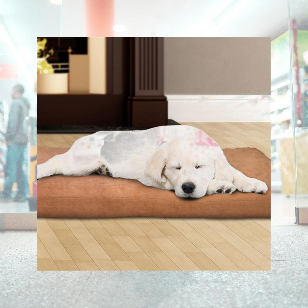 Picture of Petmaker 80-PET4004 35 x 44 x 3 in. Foam Pet Bed - Clay