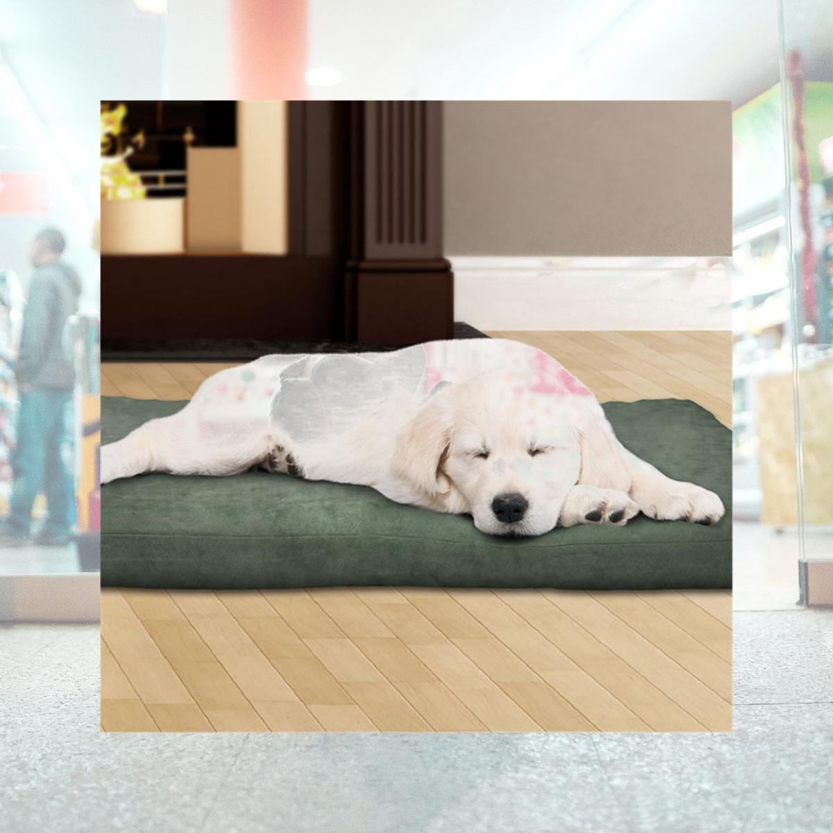 Picture of Petmaker 80-PET4011 25.5 x 19 x 3 in. Foam Pet Bed - Forest