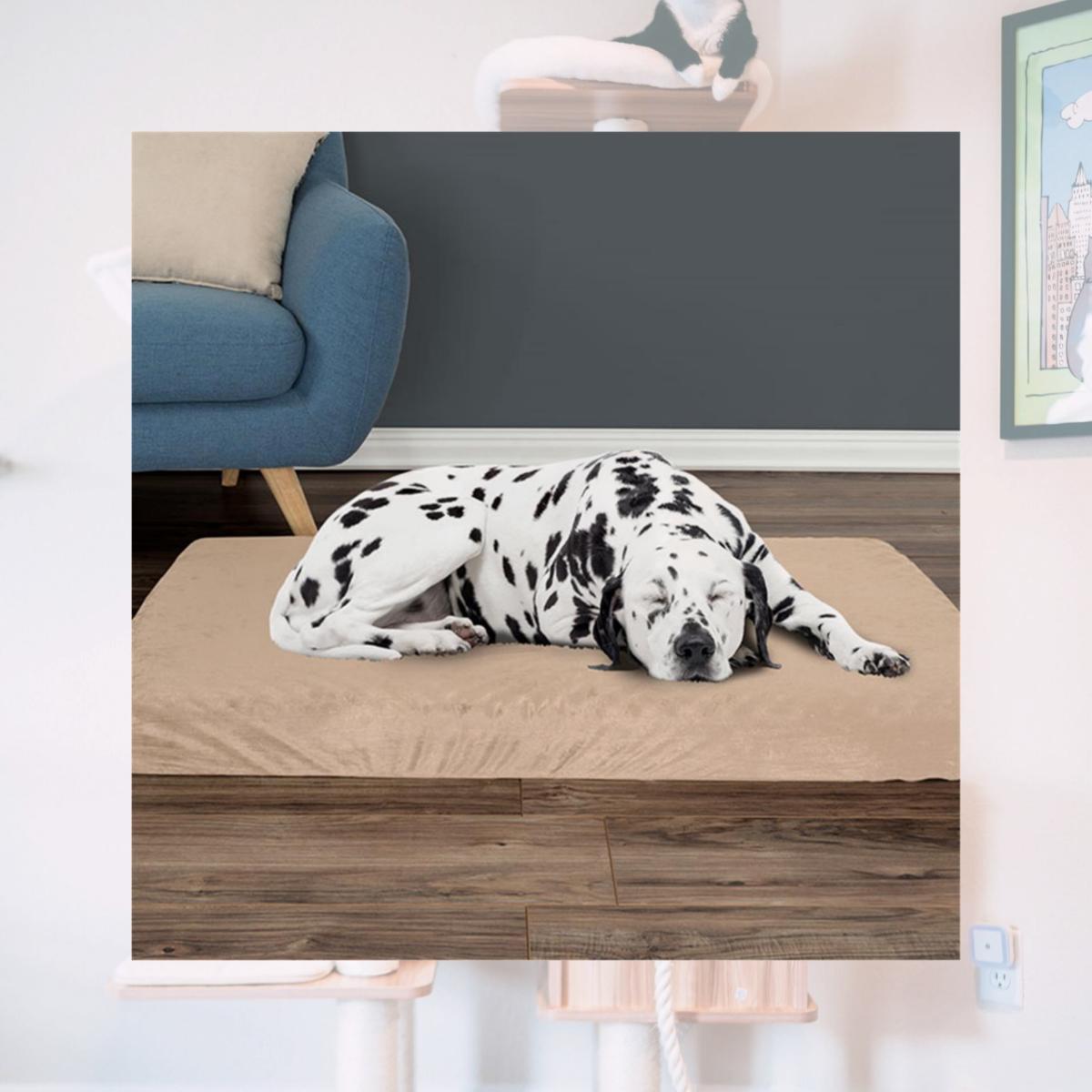 Picture of Petmaker 80-PET4012 46 x 27 x 4 in. Egg Crate & Memory Foam with Washable Orthopedic Pet Bed - Tan