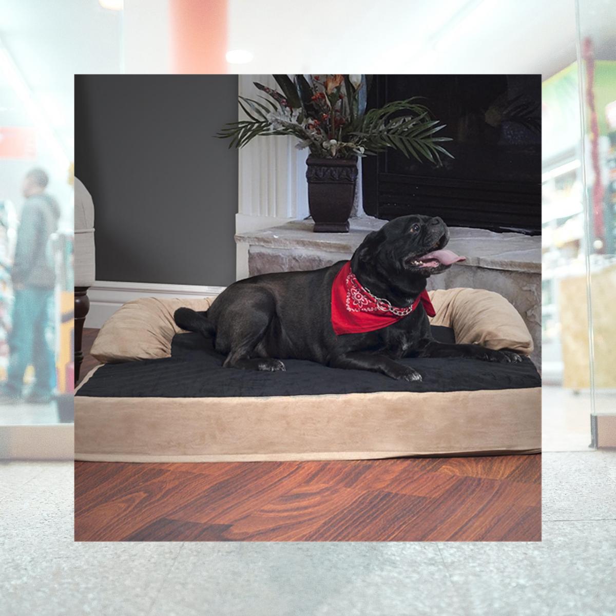 Picture of Petmaker 80-PET4002 Orthopedic Memory Foam Pet Bed - Large