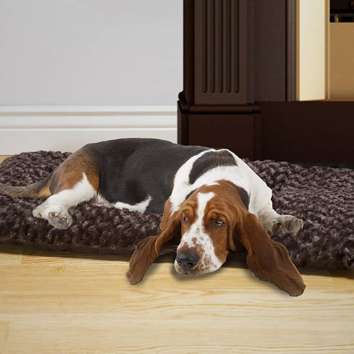Picture of Petmaker 80-PET5012 Jumbo Size Cushion Pillow Pet Bed - Chocolate