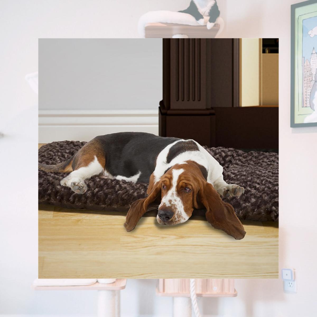 Picture of Petmaker 80-PET5012 Jumbo Size Cushion Pillow Pet Bed - Chocolate