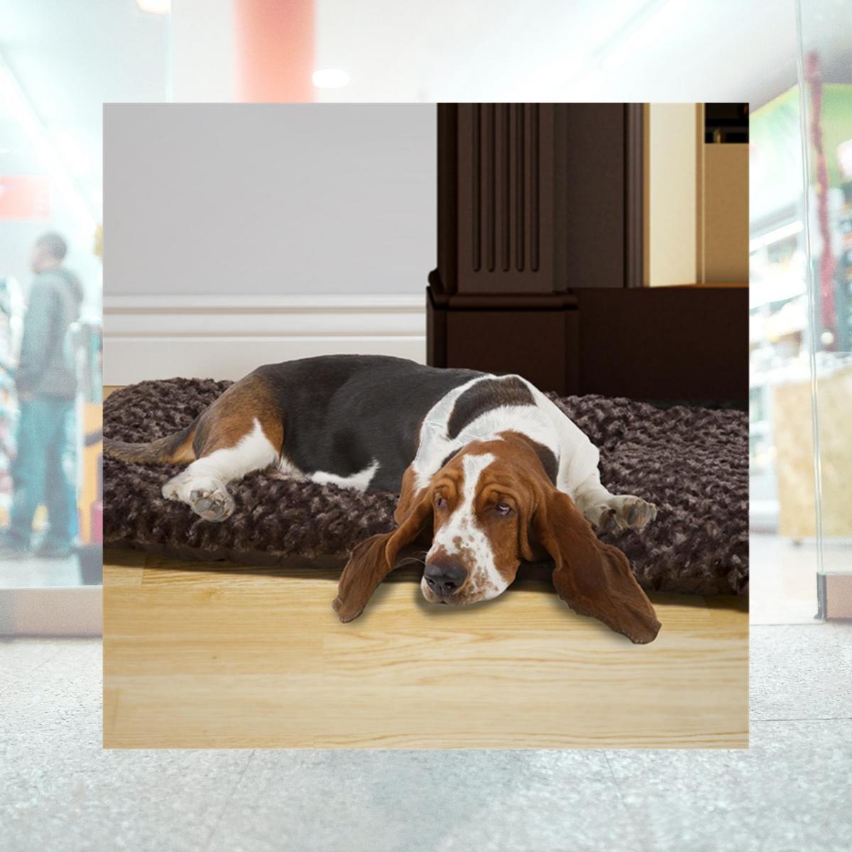 Picture of Petmaker 80-PET5013 Extra Large Cushion Pillow Pet Bed - Chocolate