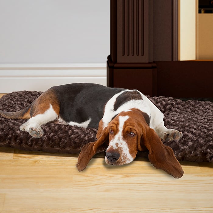 Picture of Petmaker 80-PET5014 Large Cushion Pillow Pet Bed - Chocolate