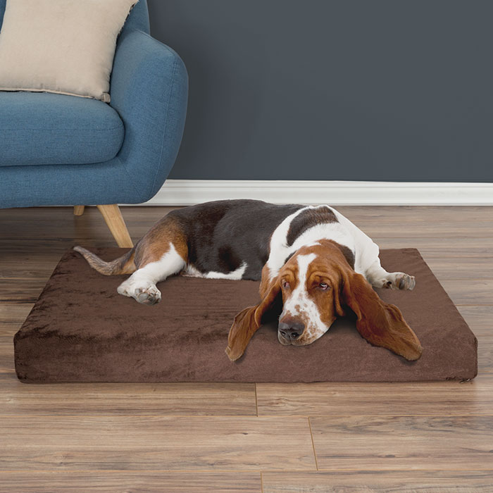 Picture of Petmaker 80-PET4014B 37 x 24 x 4 in. Orthopedic Pet Bed Egg Crate & Memory Foam with Washable Cover - Brown