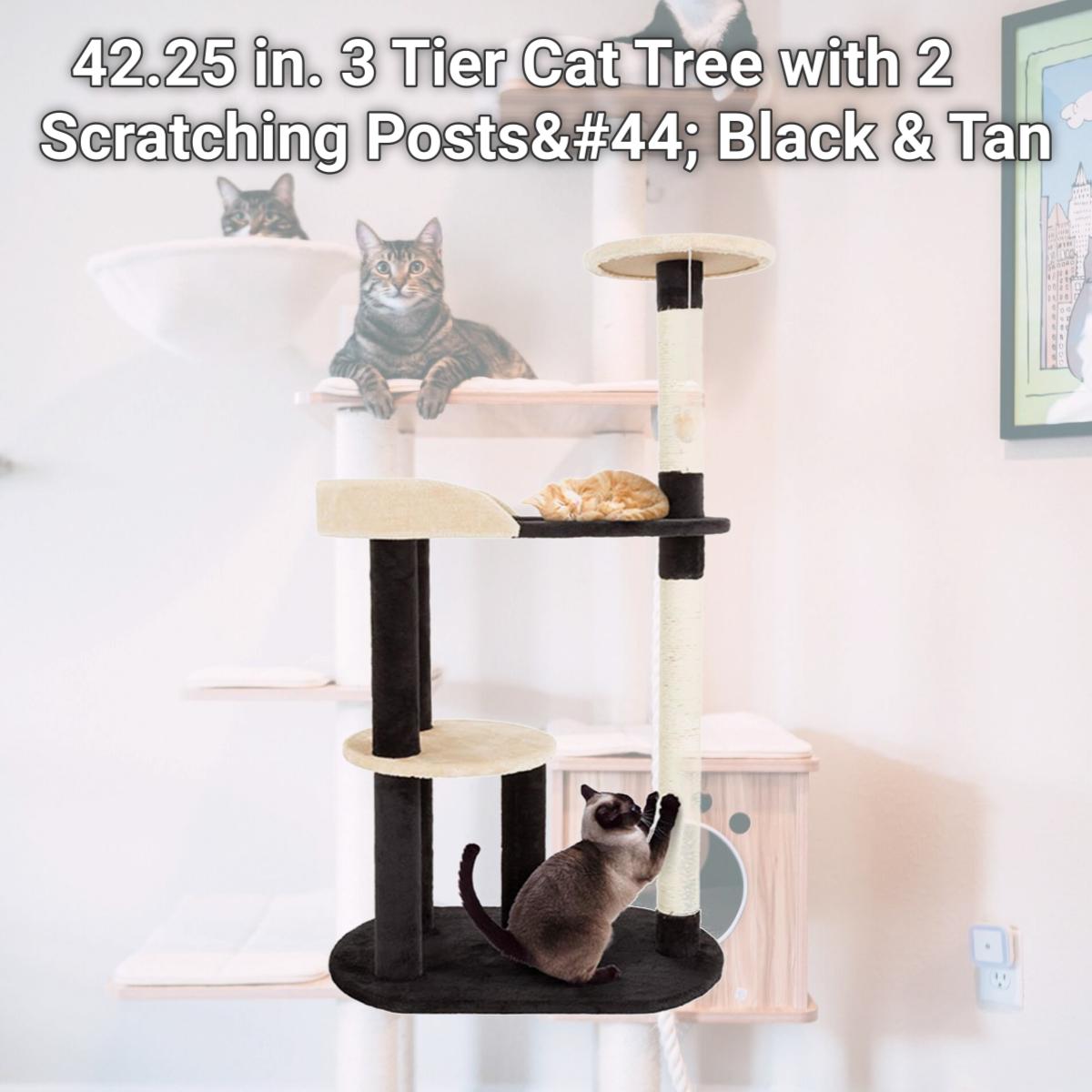 Picture of Petmaker 80-PET5083 42.25 in. 3 Tier Cat Tree with 2 Scratching Posts&#44; Black & Tan