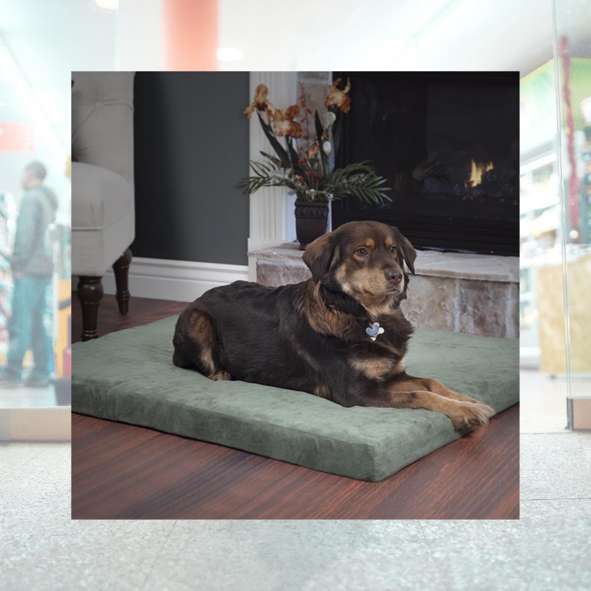 Picture of Trademark Global 80-00321 25.5 x 19 in. Petmaker Foam Pet Bed - Forest