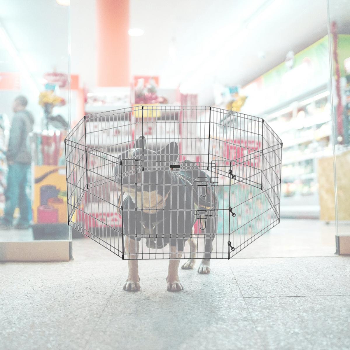 Picture of Pet Trex 83-DT5290 2205 Premium Quality Exercise Playpen for Dogs Eight 24 x 24 in. High Panels with Gate