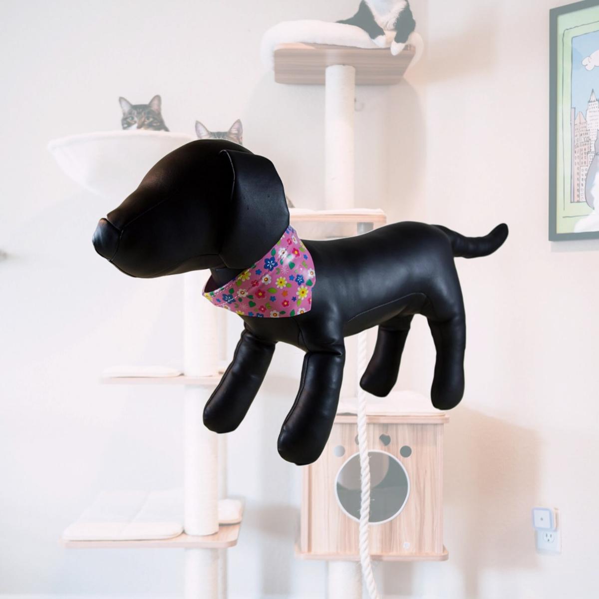 Picture of Petcessory CP0481PKM Flower Bandana Dog Collar - Pink, Medium
