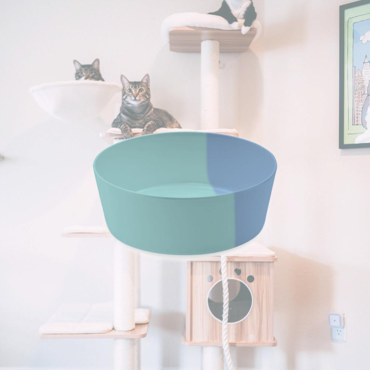Picture of TarHong PE20771875 7 x 2.5 in. Melamine Dual Pet Bowl, Blue - 5 Cups, Large - Set of 2