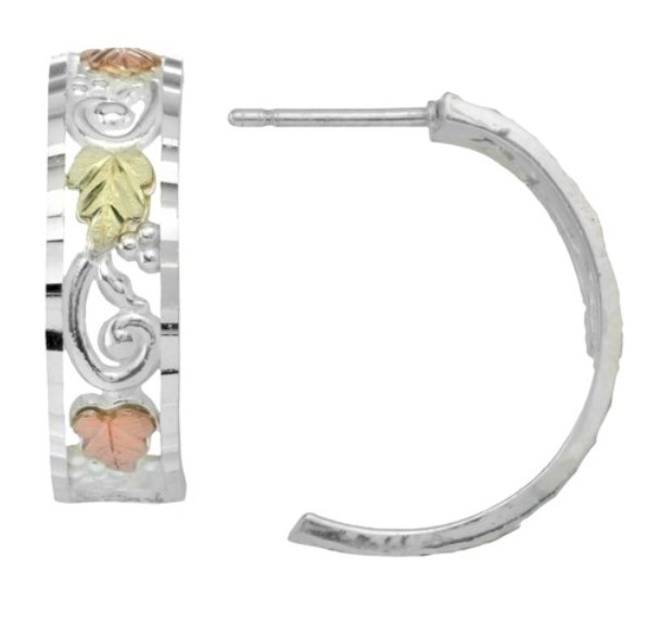 Picture of TR Jewelry Concepts MRC5903-GS CCO 12K Half Hoop Earring&#44; Sterling Silver