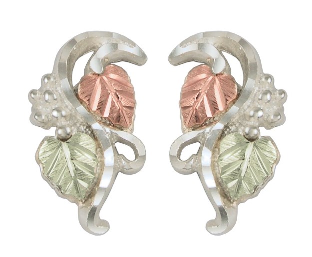 Picture of TR Jewelry Concepts MRC5326-GS CCO 12K Fast Track Earring&#44; Sterling Silver