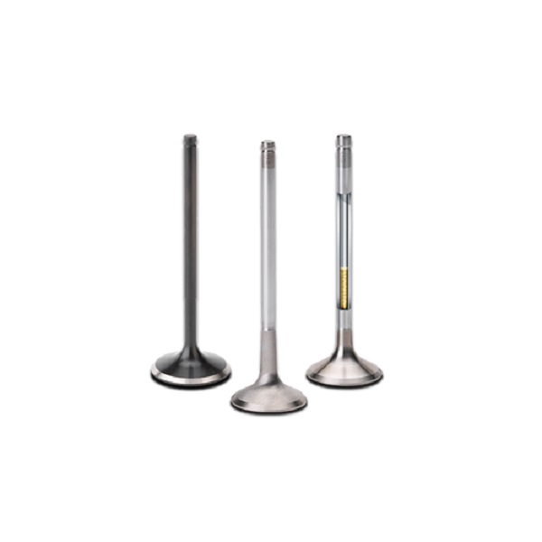 MAEVN-2301F-8 Nitrided Exhaust Valve for Ford Mazda Duratec 2.0 L & 2.3 Litre, Black - Set of 8