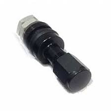GTC01 Black Paint Valve Stem