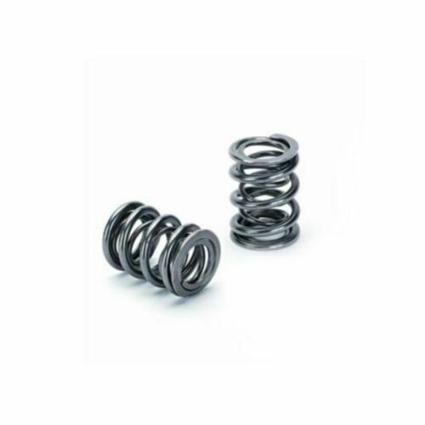 SPR-H1000D-16 Honda H22A1 & H22A4 Dual Valve Spring - Set of 16