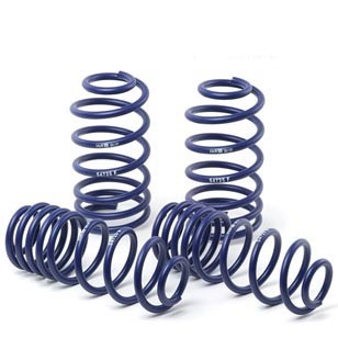 29813 Sport Lowering Springs for 1989-1990 Porsche 911-964 C2-C4