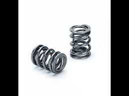 Dual Valve Spring for Honda B16A B17A B18C - Set of 16