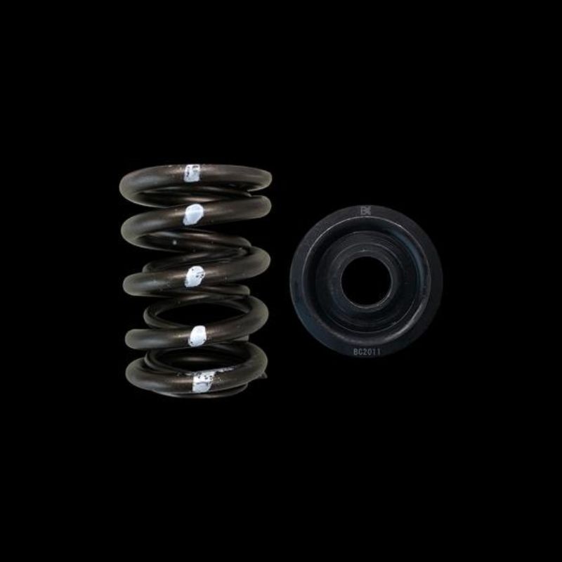 Dual Spring & Steel Retainer Kit for Honda Acura B18A B18B B20B
