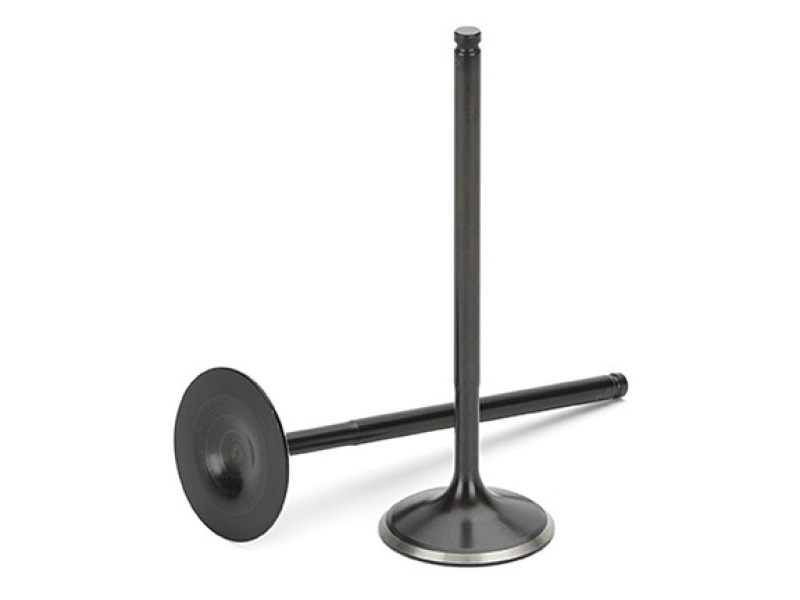 Nitrided Intake Valve for 1987-2000 Honda B 16A & B18C, Black - Set of 8