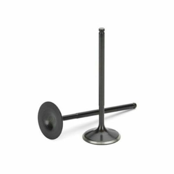 Nitrided Intake Valve for 2005-2008 Ford Escape, Black - Set of 8