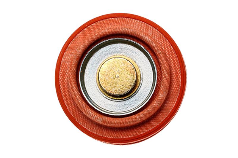 Diaphragm Service Replacement FPD Fuel for 2006 Subaru