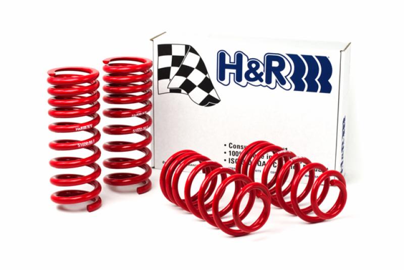 Race Spring Assembly for 1994-1995 Ford Mustang Cobra V8