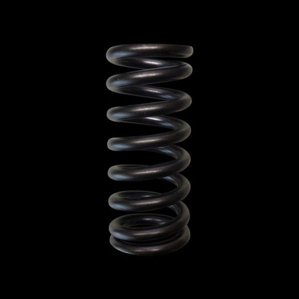 Single Valve Springs Kit for Honda L15, Set of 16