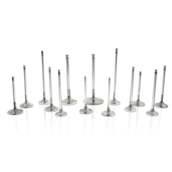 Acura K20 Intake Valve Set - 36 mm - Set of 8 - High Performance