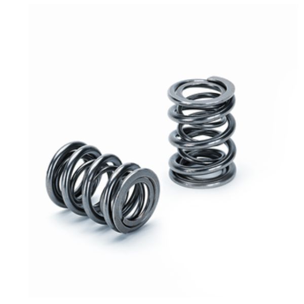 SPRK-H100DR-BM-ST Dual Valve Spring Kit for BMW