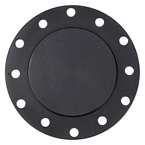 STR-150BK Horn Delete Plate Flush, Black