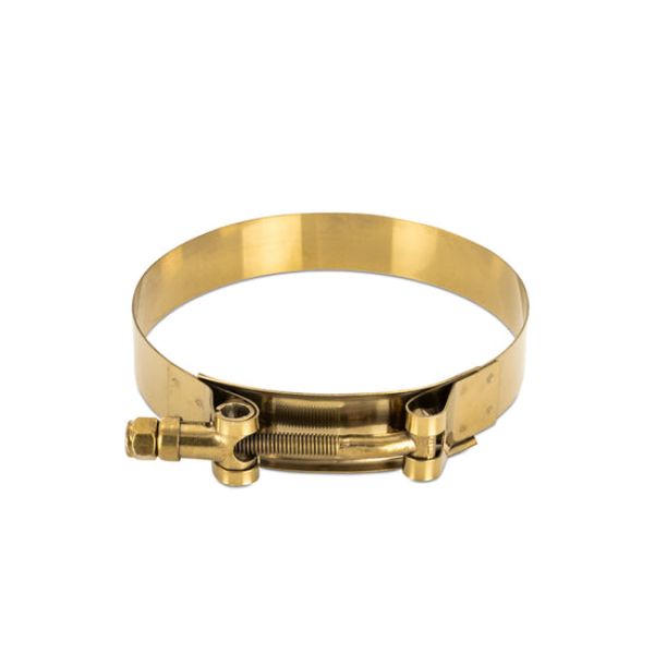 3 in. Stainless Steel T-Bolt Clamps, Gold
