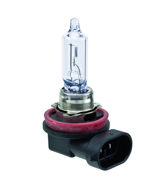 H9 2.0TB H9 12V 65W PGJ19-5 HP 2.0 Halogen Bulbs
