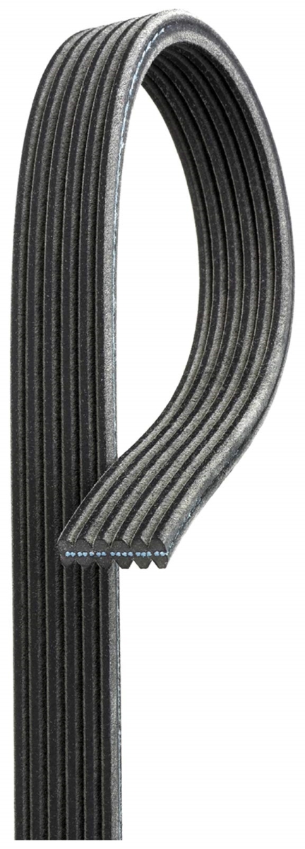 DK060650 Micro V Double Sided Serpentine Belt for 2014-2019 Chevrolet Corvette V-8 6.2L