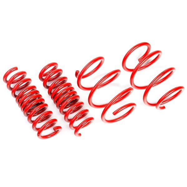 LS-19-207 30 mm Long Range AWD Lowering Springs for Tesla Model 3