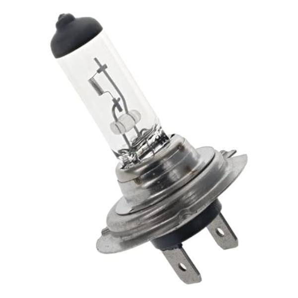 153469 H7 Halogen Bulb
